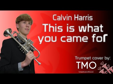 Calvin Harris - This is what you came for (TMO Cover)
