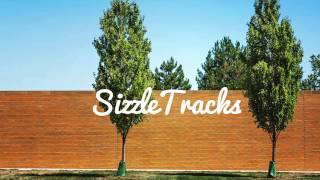 Hermitude | HyperParadise (Flume Remix)