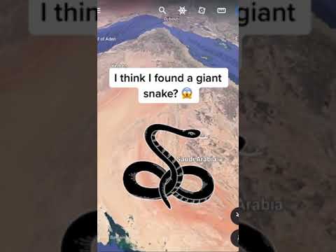 Giant Snake Found? 😱 #shorts