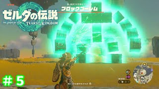 観てくれた人を笑顔にしたい女のティアキン実況＃５【ゼルダの伝説 ティアーズ オブ ザ キングダム】