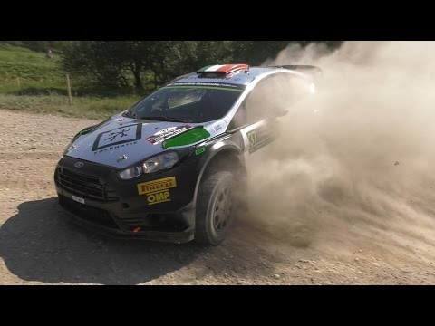 Day 3 - Rally Poland 2016 - L. Bertelli / S. Scattolin - Ford Fiesta WRC