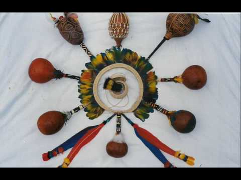 Xamã Cientista - O XAMÃ E O PAJÉ