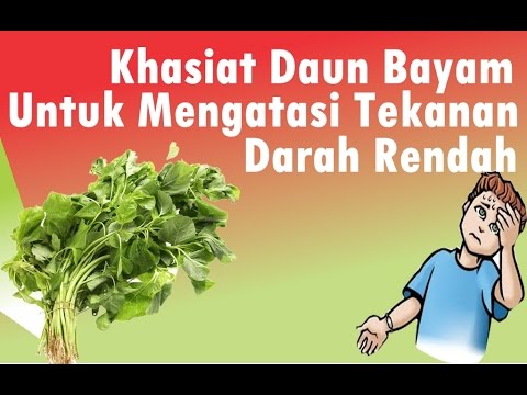 Marah kontol kecil Patogen kuda di mana Anda dapat membeli di Saratov
