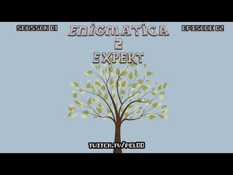 Enigmatica 2 Expert 1.90h - Episode 02