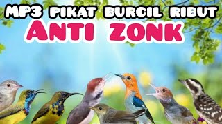 Download lagu SUARA PIKAT BURUNG Kecil Ribut ANTI ZONK mp3