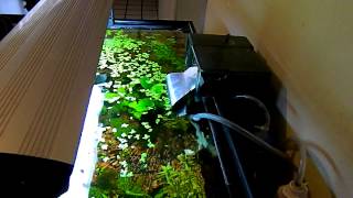 brico para evitar la corriente de filtro de cascada