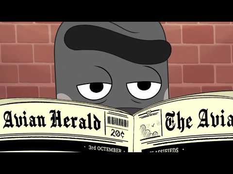 HONK KICKSTARTER Animated First Scene