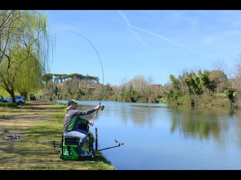 Canne Maver Evanon feeder