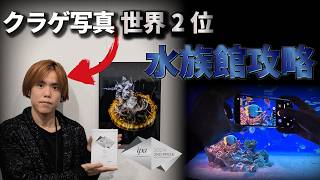 クラゲ写真世界二位！水族館撮影テクニックを大公開