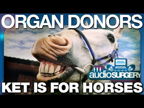 Organ Donors - Ket Is For Horses (ORIGINAL VIDEO) HD