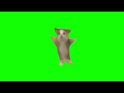 Green Screen Happy Happy Happy Cat Meme