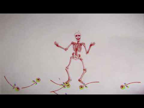 Video thumbnail for Awkward Bones