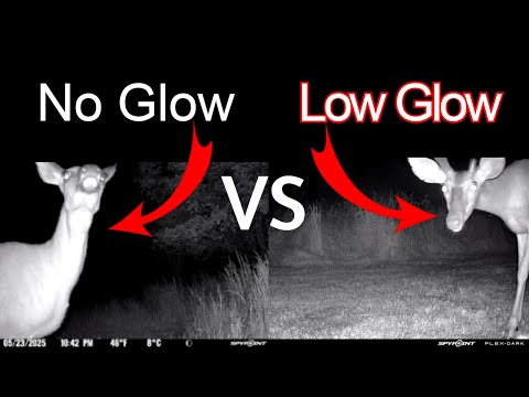 Spypoint Flex DARK: Switch from Low Glow to No Glow (Surprising Results)