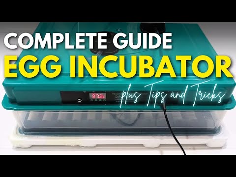 Complete Guide for the Automatic Incubator | Tips and Tricks for Perfect Hatching