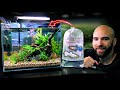 Central Aquatics Island 7.5 Gallon Glass Aquarium Kit