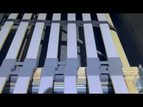 Taking Care of the Bed Bugs in the Bed in Manasquan, NJ