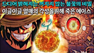 [원피스 최신 네타 분석]  이글이글 열매의 각성을위해 희생된 에이스, 영원히 꺼지지않는 화염 무한의 동력 드디어 밝혀지는 신의종족의 비밀