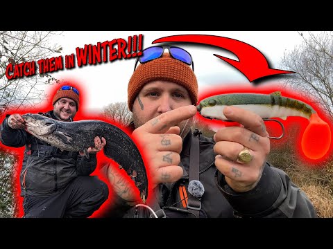 How To Catch Wels Catfish On Lures! IN THE UK!!