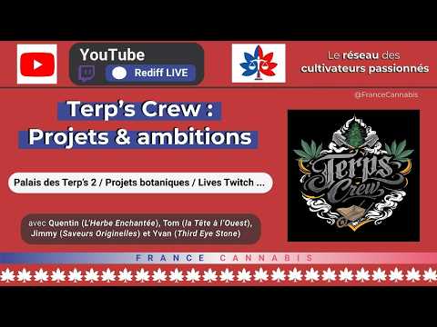 Terp's Crew - Projets et Ambitions