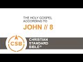 CSB John 8 Human Reader The Adulteress Jesus The Light Of The World Before Abraham Was I Am