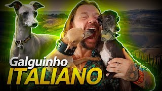 Miniatura do vídeo