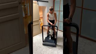 THE WALKING PAD KING 🐶 #walkingpad #treadmill #dog #training #run #homeworkout #funnyvideos
