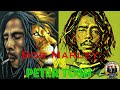 Bob Marley & Peter Tosh Mix | Reggae Roots Consciousness | Justice Sound