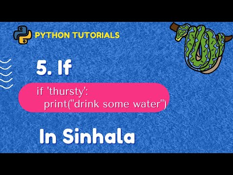 5 If Statement Python 3 Programming Tutorials In Sinhala