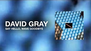 David Gray - Say Hello, Wave Goodbye (Official Audio)