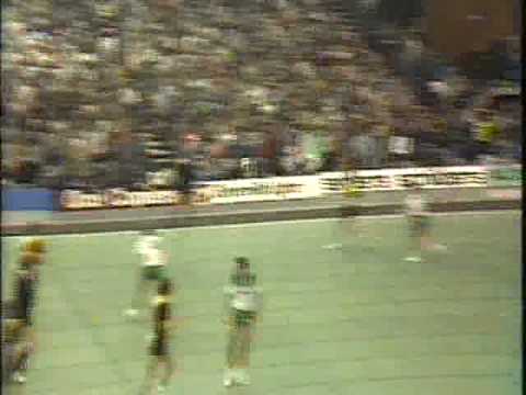 Korfbalfinale Rhoda-PKC Martinihal.mpg