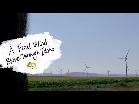 Blow FLRY-A 0.22 kabelis juodas video