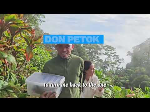 Who's Holding Donna Now - The Numocks Duet