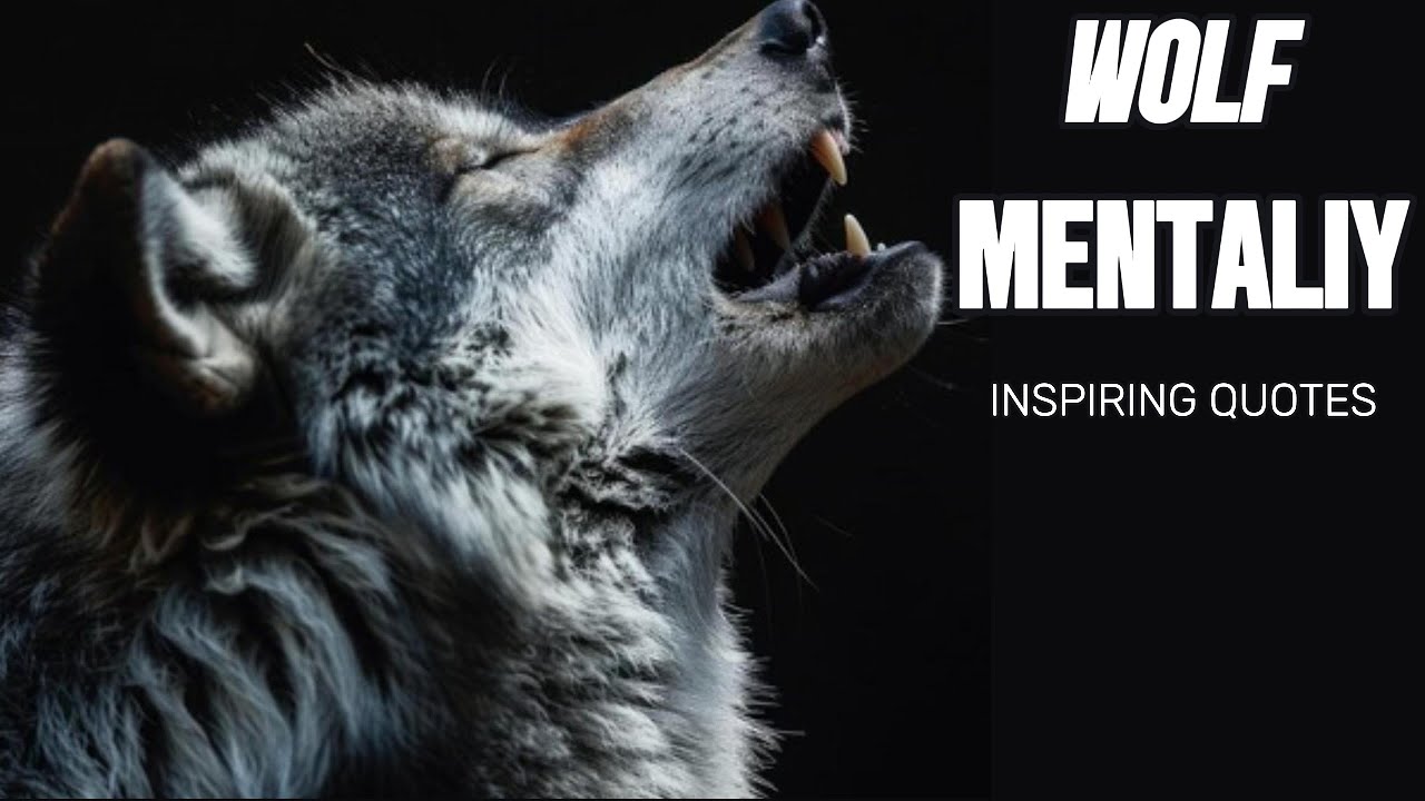 Lone Wolf Quotes you need to know