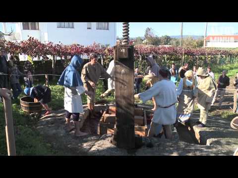 Lagarada em Subportela