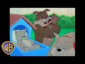 Tom Jerry The Best Doggy Dad Ever Father S Day Classic Cartoon Compilation Wbkids​