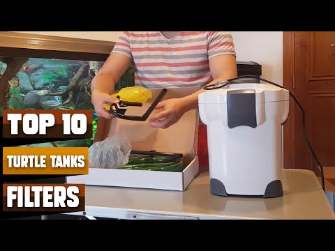 Best Filters For Turtle Tanks in 2026 (Top 10 Picks)