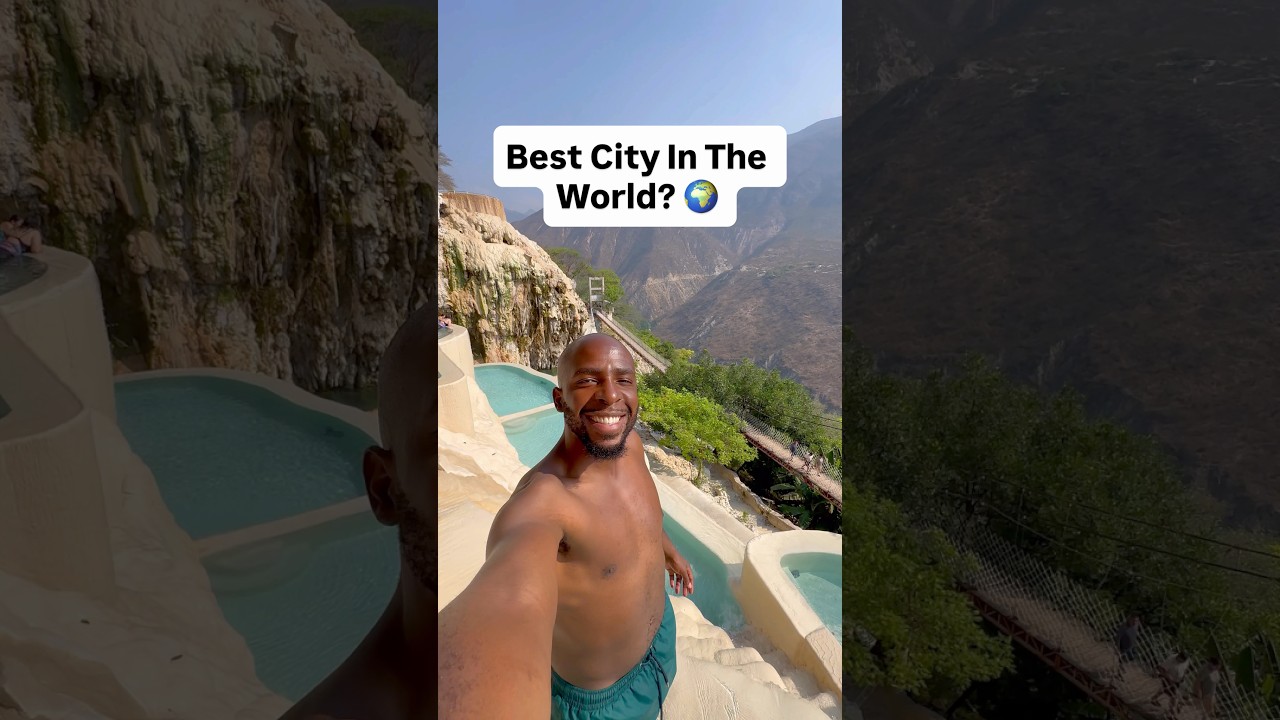 The Art of Baking: From Classic Bread to Artisan Pastries