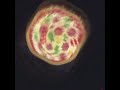 Pizza Swirling Through My Mind