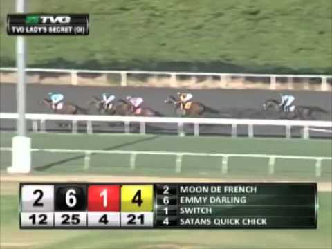 Zenyatta Greatest Race Horse Of All time Wins 2010 Lady's Secret