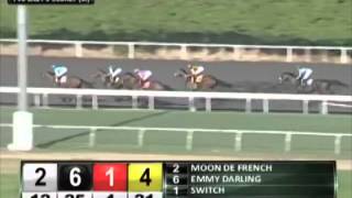 Zenyatta Greatest Race Horse Of All time Wins 2010 Lady&#39;s Secret