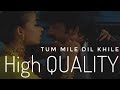 Tu Mile Dil Khile Criminal 1994 Kumar Sanu Alka Yagnik High Quality 5 1