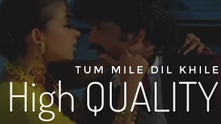Tu Mile Dil Khile  Criminal (1994) Kumar Sanu &