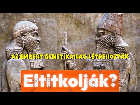 Az Emberiség Lezárt Története: A Sumér Teremtési Program