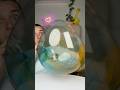 Giant Glue Bubble! #hacks #challenge #bubble #lifehacks