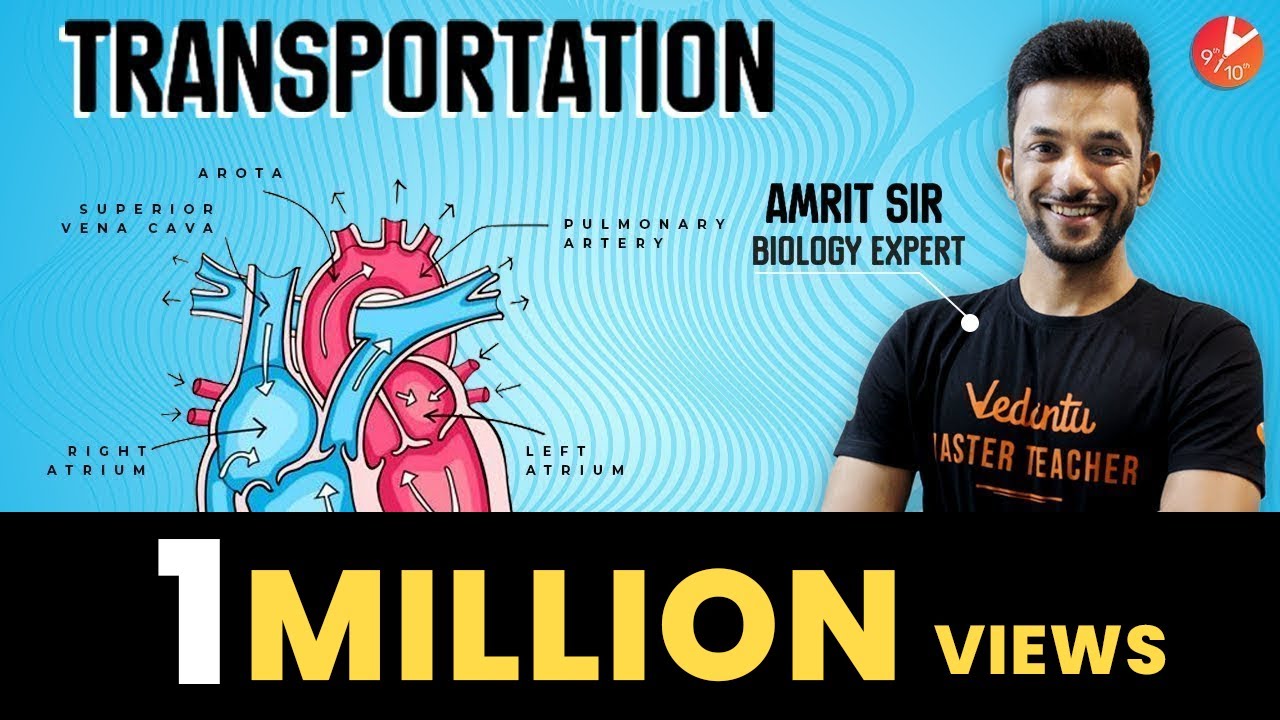 Transportation Class 10 | Life Processes Class 10 Science Biology | NCERT Class 10 Science #Cbse2024