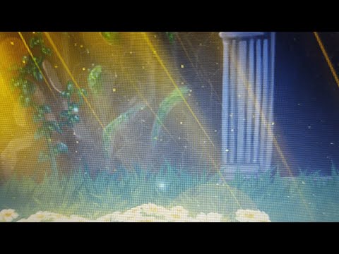 Normal day in the ruins...