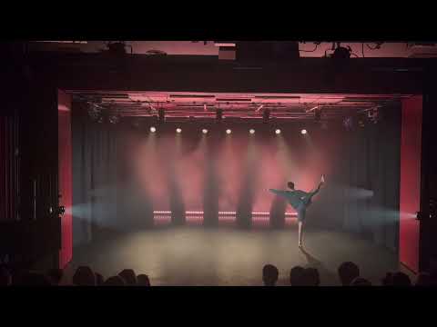 Dissertation performance