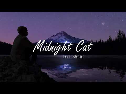 Looking for the sunrise 🌄 // MidnightCat