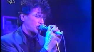 Herman Brood &amp; his Wild Romance - Cut me loose (live in Germany 1988)