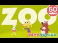 At The Zoo Song More Baby Genius Kids Songs For Kids Nursery Rhymes Full Hour